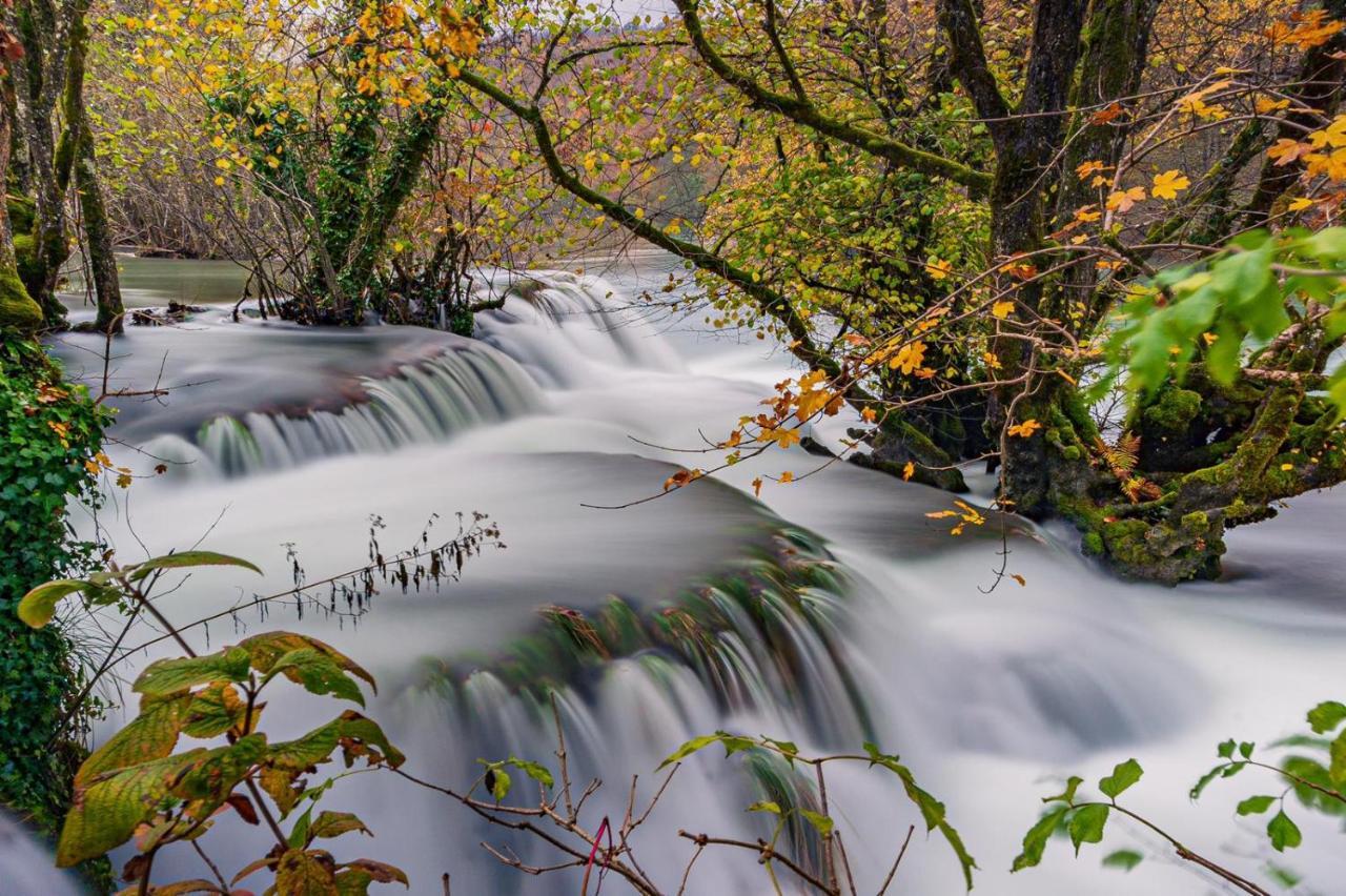Вілла Ecotourism Мрежниця Екстер'єр фото