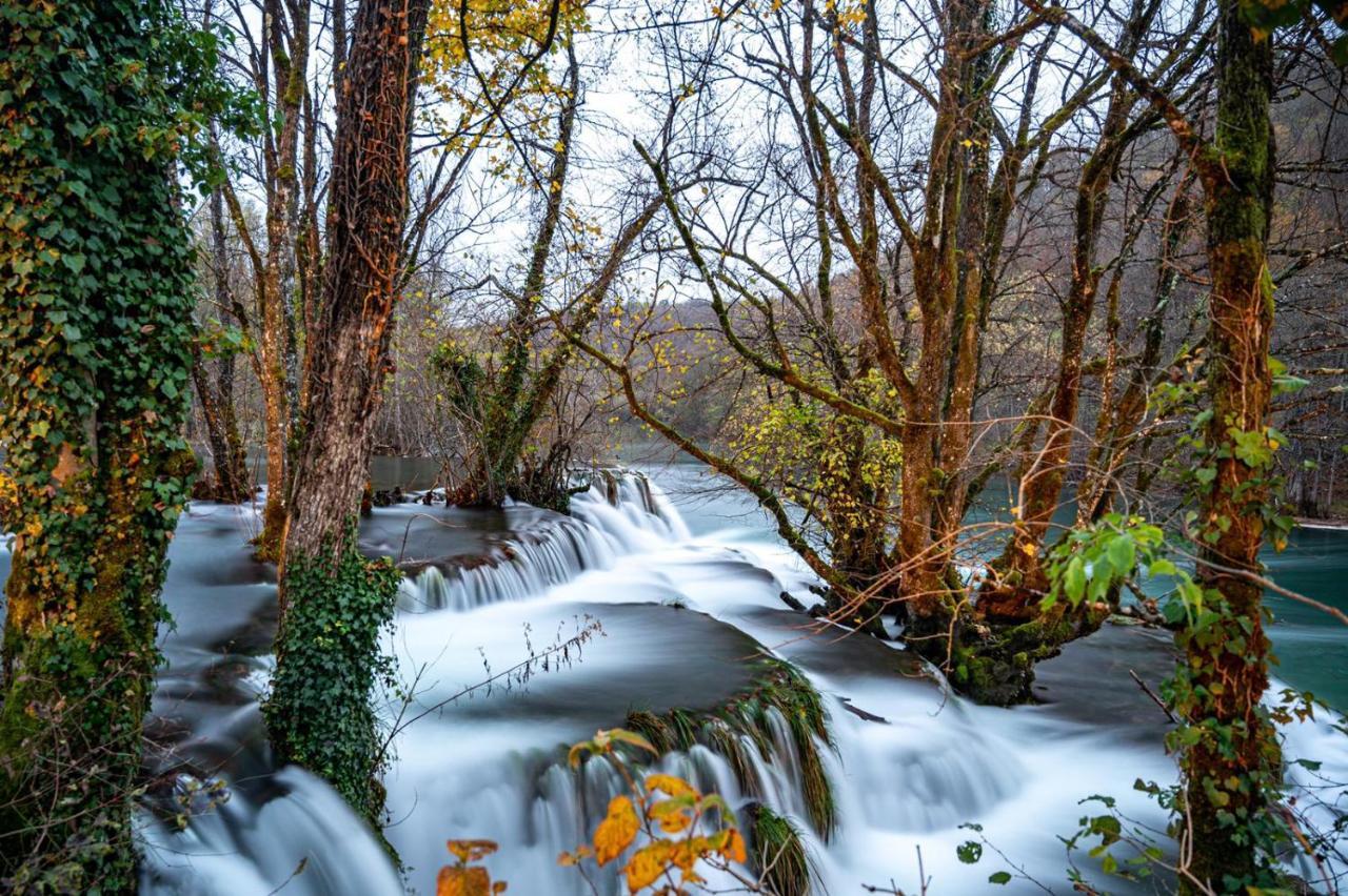 Вілла Ecotourism Мрежниця Екстер'єр фото