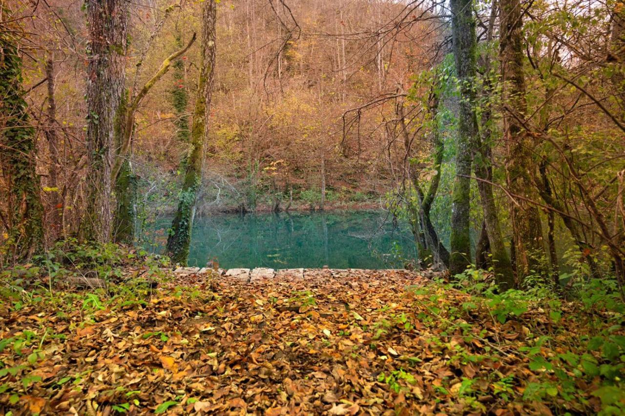 Вілла Ecotourism Мрежниця Екстер'єр фото